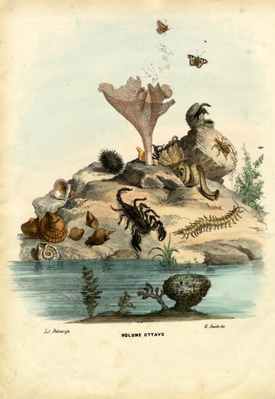 Title Page by Raimundo Petraroja
